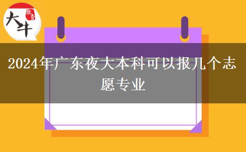 2024年廣東夜大本科可以報幾個志愿專業(yè) 2024年廣東夜大本科可以報幾個志愿專業(yè)