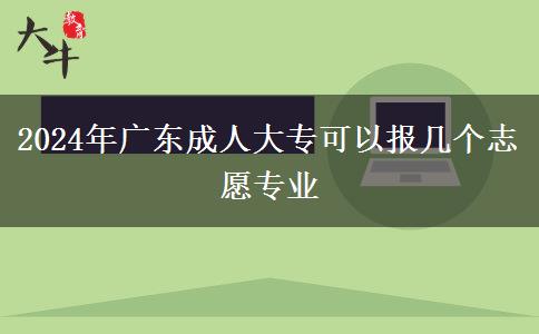 2024年廣東成人大專(zhuān)可以報(bào)幾個(gè)志愿專(zhuān)業(yè) 2024年廣東成人大專(zhuān)可以報(bào)幾個(gè)志愿專(zhuān)業(yè)