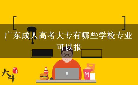廣東成人高考大專有哪些學校專業(yè)可以報