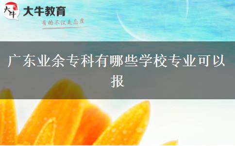 廣東業(yè)余?？朴心男W(xué)校專業(yè)可以報(bào)