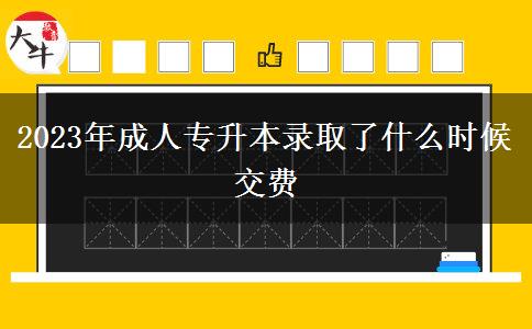 2023年成人專升本錄取了什么時候交費 2023年成人專升本錄取了什么時候交費
