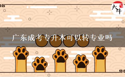 廣東成考專升本可以轉(zhuǎn)專業(yè)嗎 廣東成考專升本可以轉(zhuǎn)專業(yè)嗎