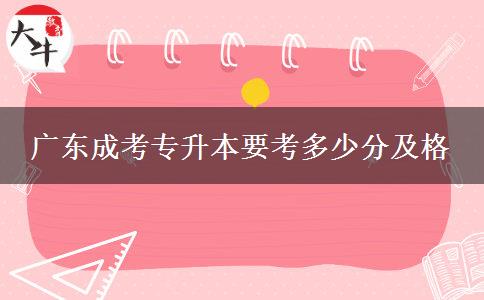 廣東成考專(zhuān)升本要考多少分及格 廣東成考專(zhuān)升本要考多少分及格