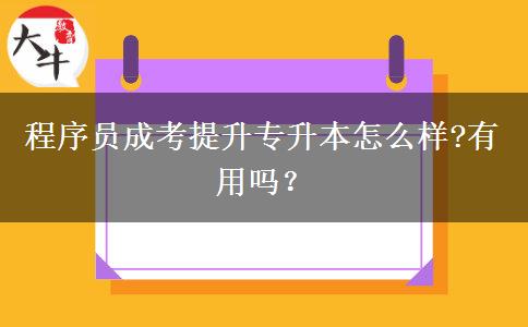 程序員成考提升專升本怎么樣?有用嗎？