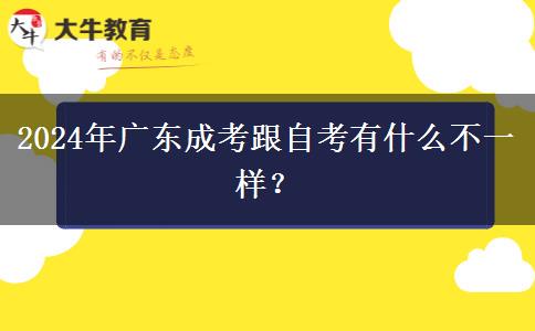 2024年廣東成考跟自考有什么不一樣？