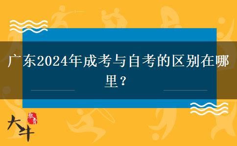 廣東2024年成考與自考的區(qū)別在哪里？