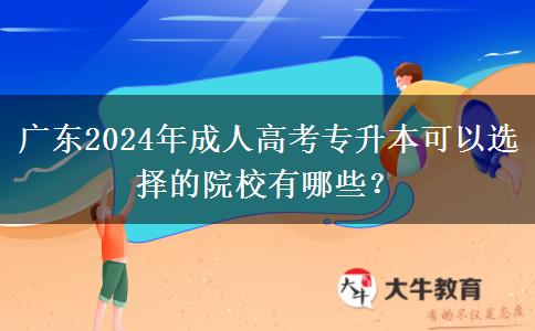 廣東2024年成人高考專升本可以選擇的院校有哪些？
