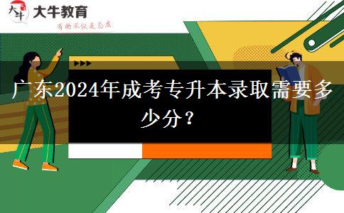 廣東2024年成考專升本錄取需要多少分？