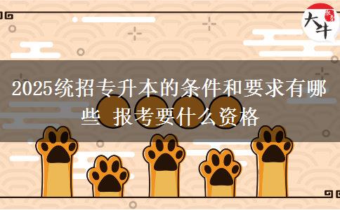 2025統(tǒng)招專升本的條件和要求有哪些 報(bào)考要什么資格