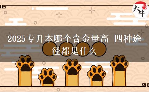 2025專升本哪個(gè)含金量高 四種途徑都是什么