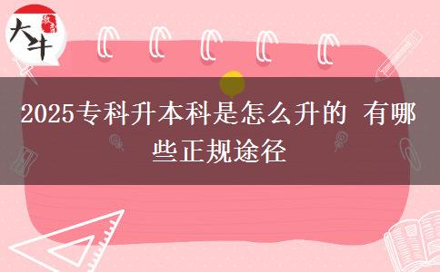 2025?？粕究剖窃趺瓷?有哪些正規(guī)途徑