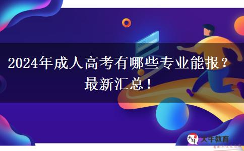 2024年成人高考有哪些專業(yè)能報(bào)？最新匯總！