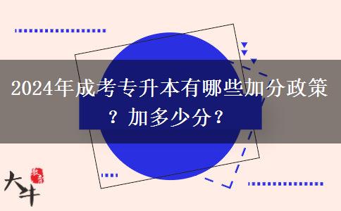 2024年成考專升本有哪些加分政策？加多少分？