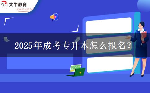 2025年成考專升本怎么報名？