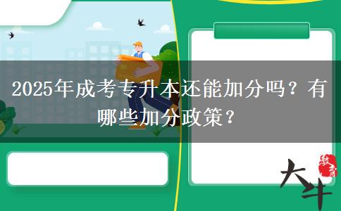 2025年成考專升本還能加分嗎？有哪些加分政策？