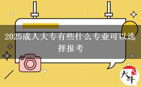2025成人大專(zhuān)有些什么專(zhuān)業(yè)可以選擇報(bào)考