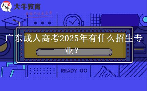 廣東成人高考2025年有什么招生專業(yè)？