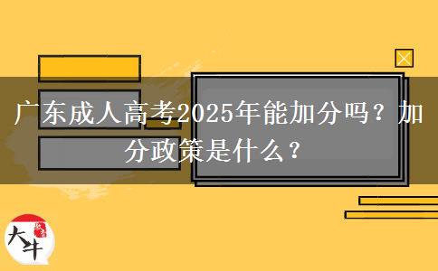 廣東成人高考2025年能加分嗎？加分政策是什么？