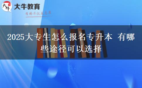 2025大專(zhuān)生怎么報(bào)名專(zhuān)升本 有哪些途徑可以選擇
