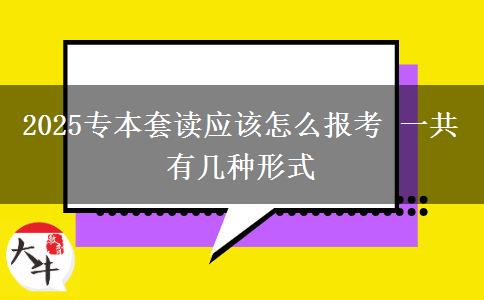 2025專本套讀應該怎么報考 一共有幾種形式