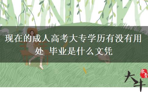 現(xiàn)在的成人高考大專學(xué)歷有沒有用處 畢業(yè)是什么文憑