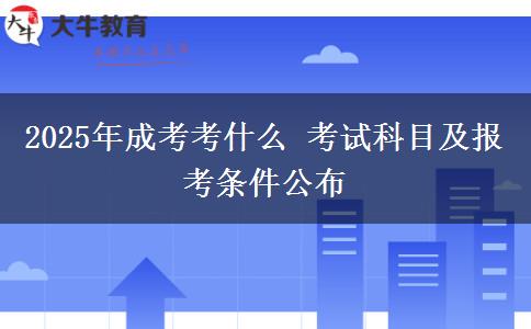 2025年成考考什么 考試科目及報(bào)考條件公布