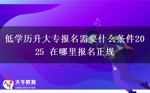 低學(xué)歷升大專報名需要什么條件2025 在哪里報名正規(guī)