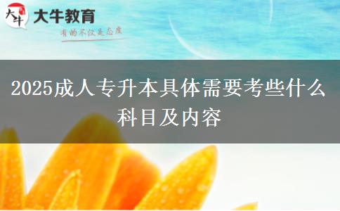 2025成人專升本具體需要考些什么科目及內(nèi)容