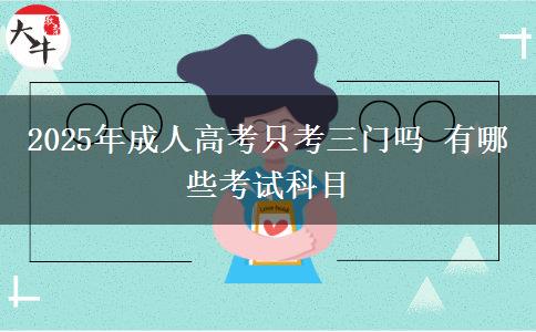 2025年成人高考只考三門(mén)嗎 有哪些考試科目
