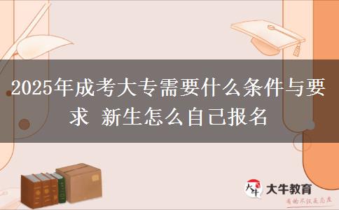 2025年成考大專需要什么條件與要求 新生怎么自己報名