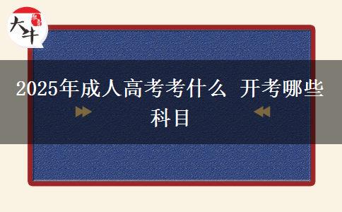 2025年成人高考考什么 開考哪些科目