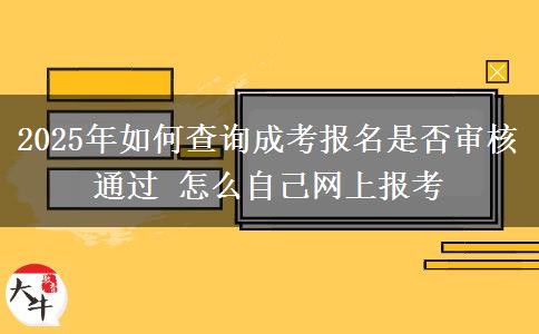 2025年如何查詢成考報(bào)名是否審核通過 怎么自己網(wǎng)上報(bào)考