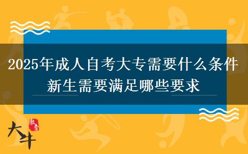 2025年成人自考大專需要什么條件 新生需要滿足哪些要求