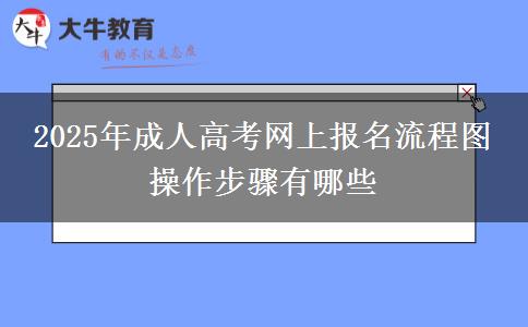 2025年成人高考網(wǎng)上報(bào)名流程圖 操作步驟有哪些