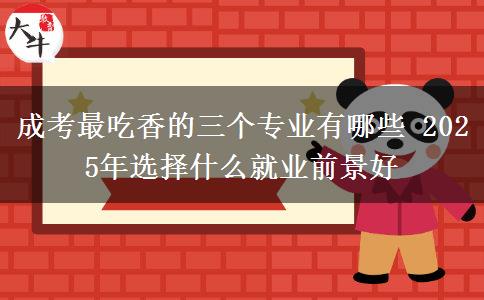 成考最吃香的三個專業(yè)有哪些 2025年選擇什么就業(yè)前景好