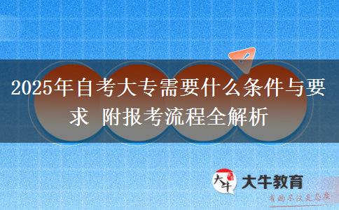 2025年自考大專需要什么條件與要求 附報(bào)考流程全解析