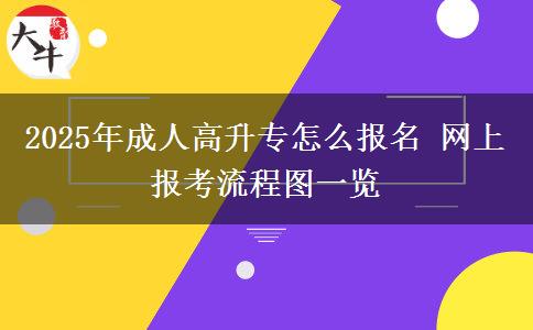 2025年成人高升專怎么報名 網(wǎng)上報考流程圖一覽
