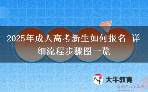 2025年成人高考新生如何報(bào)名 詳細(xì)流程步驟圖一覽