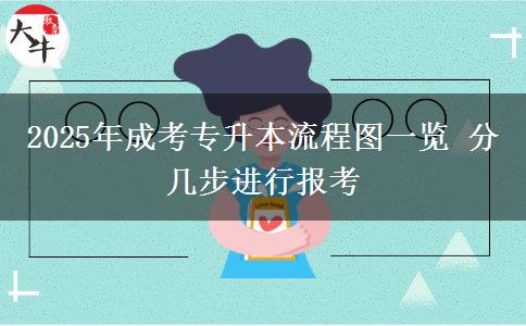 2025年成考專升本流程圖一覽 分幾步進(jìn)行報考