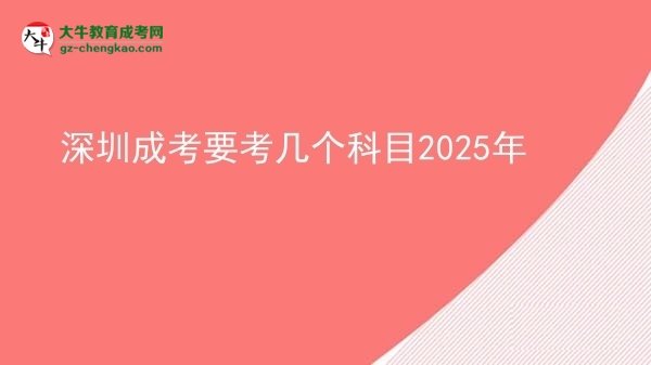 【詳解】深圳成考要考幾個科目2025年