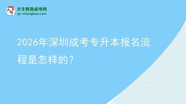 2026年深圳成考專升本報(bào)名流程是怎樣的？圖片