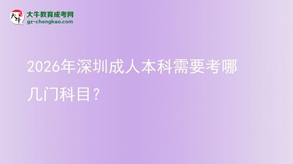 2026年深圳成人本科需要考哪幾門科目？圖片